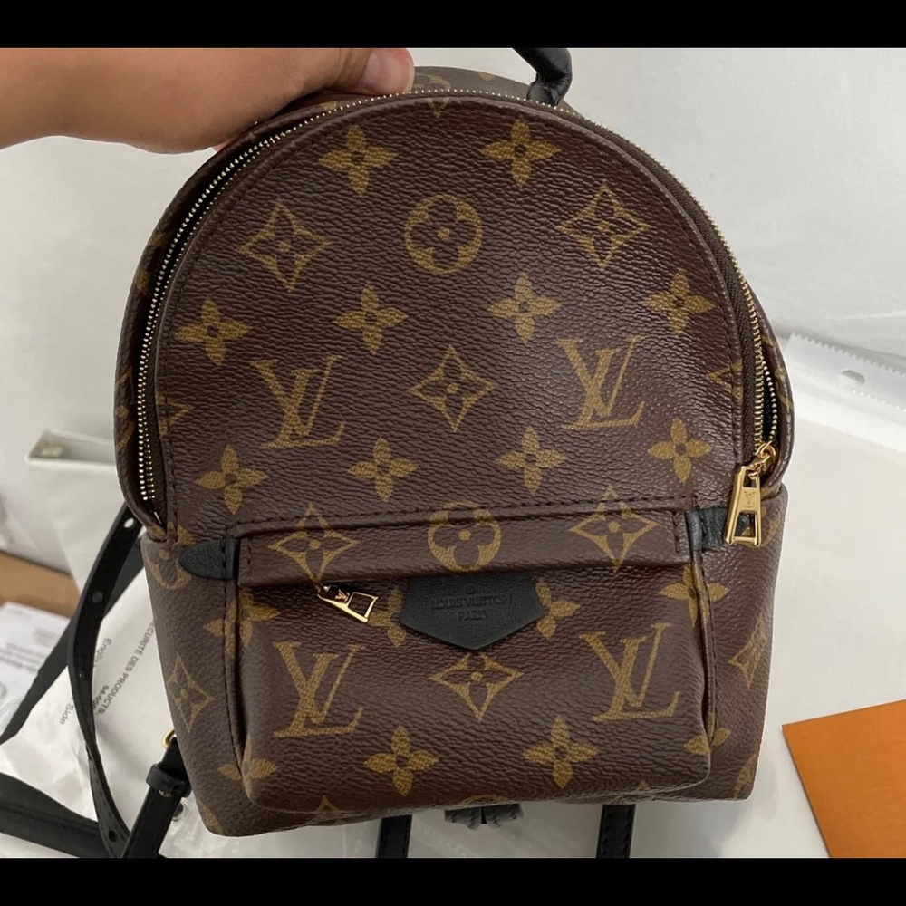 Louis Vuitton Palm Springs Mini
